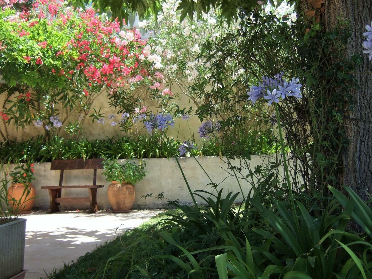 Au Vallon Rouge Saint-Paul-de-Vence Exterior photo